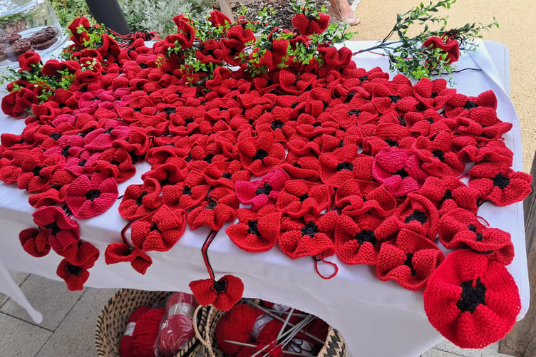 Hindhead Place resident Margaret Wellman with her impressive collection of knitted poppies.