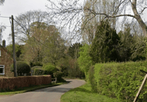Peeps into the Past: The remarkable history of a quiet Surrey lane