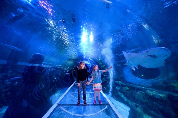 SEA LIFE