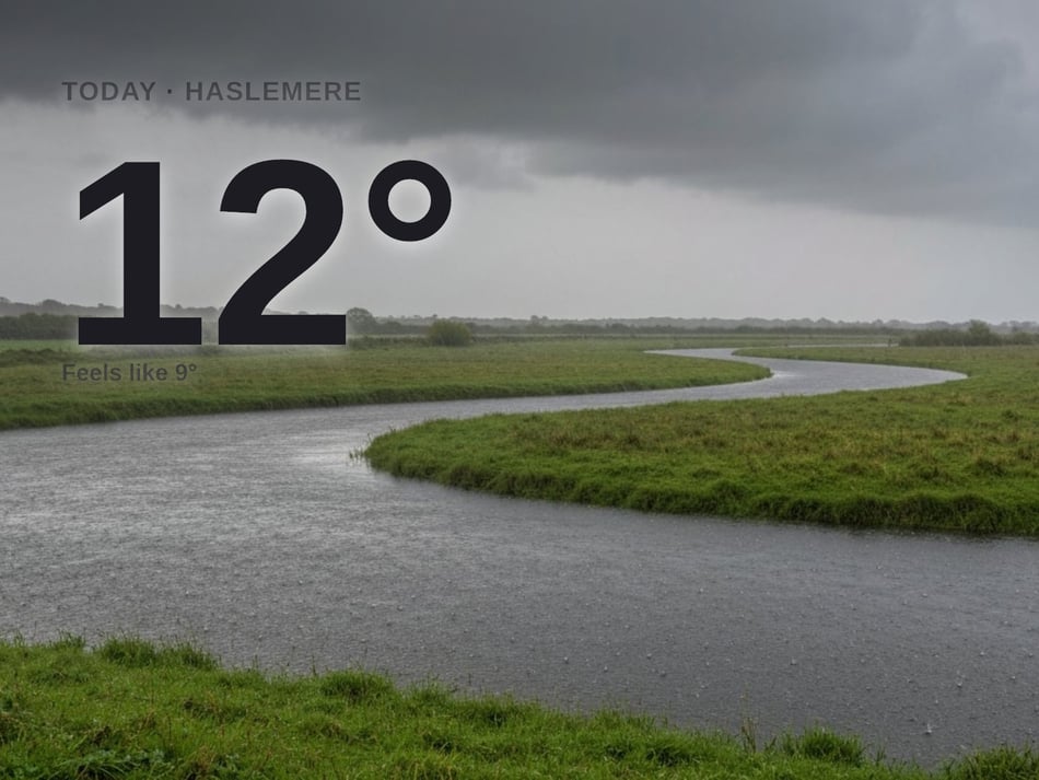 Haslemere weather: heavy rain Friday with rain expected and a high of 11°C