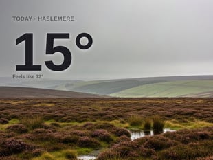 Haslemere: cloudy day, high of 14°C
