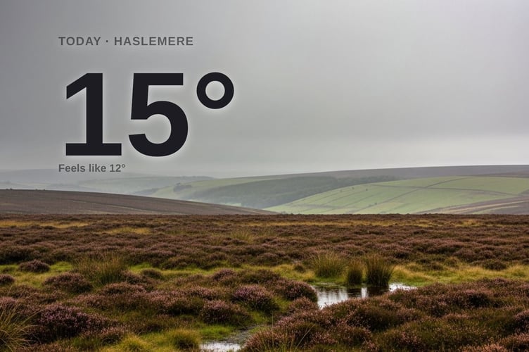 Haslemere weather: cloudy Tuesday with rain expected and a high of 14°C