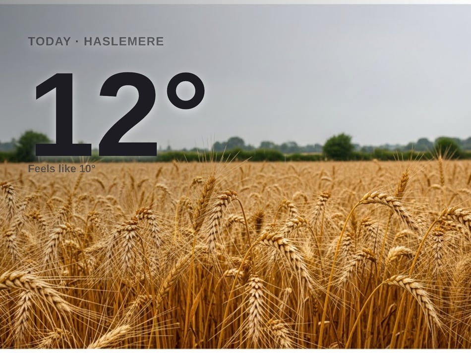 Haslemere: cloudy day, high of 12°C