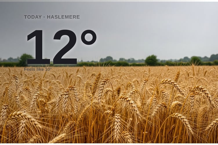 Haslemere weather: cloudy Sunday with rain expected and a high of 12°C