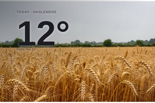 Haslemere: rainy day, high of 11°C