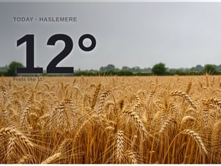 Haslemere: rainy day, high of 11°C
