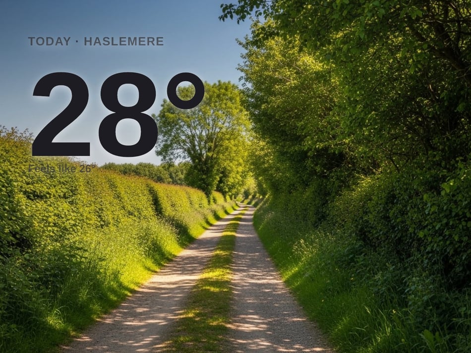 Haslemere: sunny day, high of 28°C