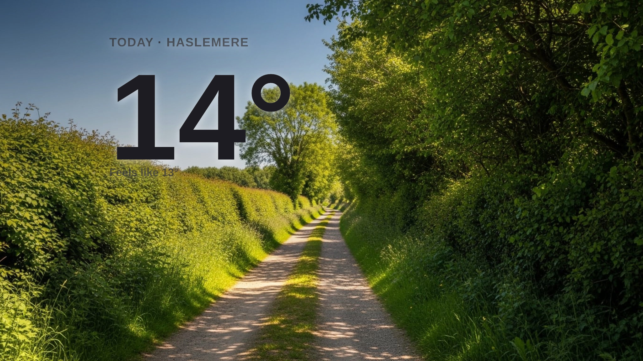 Sunshine dominates Haslemere today - here's your Friday forecast