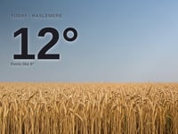 Haslemere weather: sunny Sunday with little chance of rain and a high of 12°C