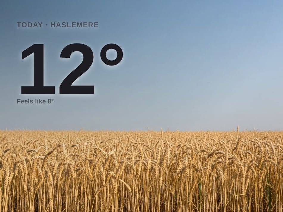 Haslemere weather: sunny Sunday with little chance of rain and a high of 12°C