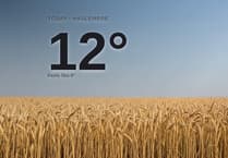 Sunshine and warmth for Haslemere today - here's what to expect