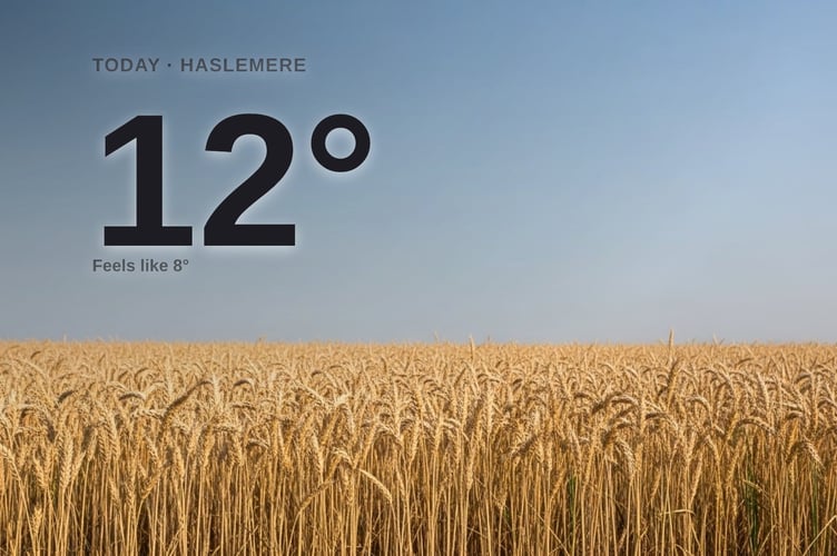 Haslemere weather: sunny Sunday with little chance of rain and a high of 12°C