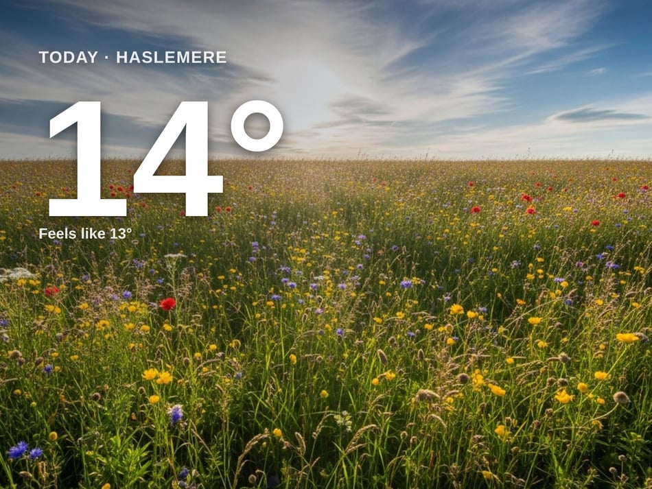 Haslemere: partly cloudy day, high of 14°C