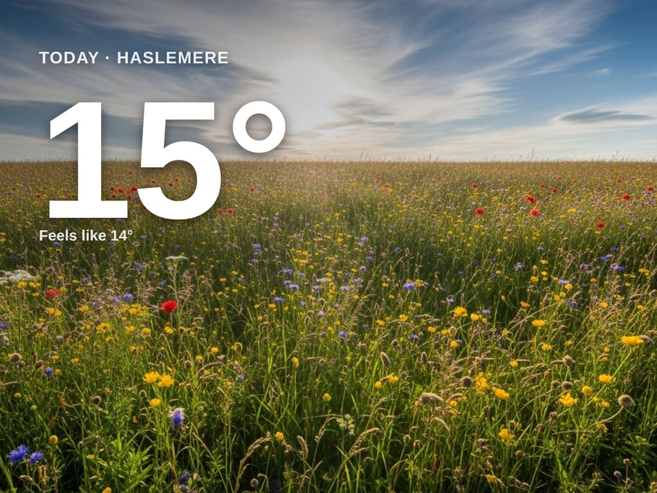 Haslemere: partly cloudy day, high of 15°C